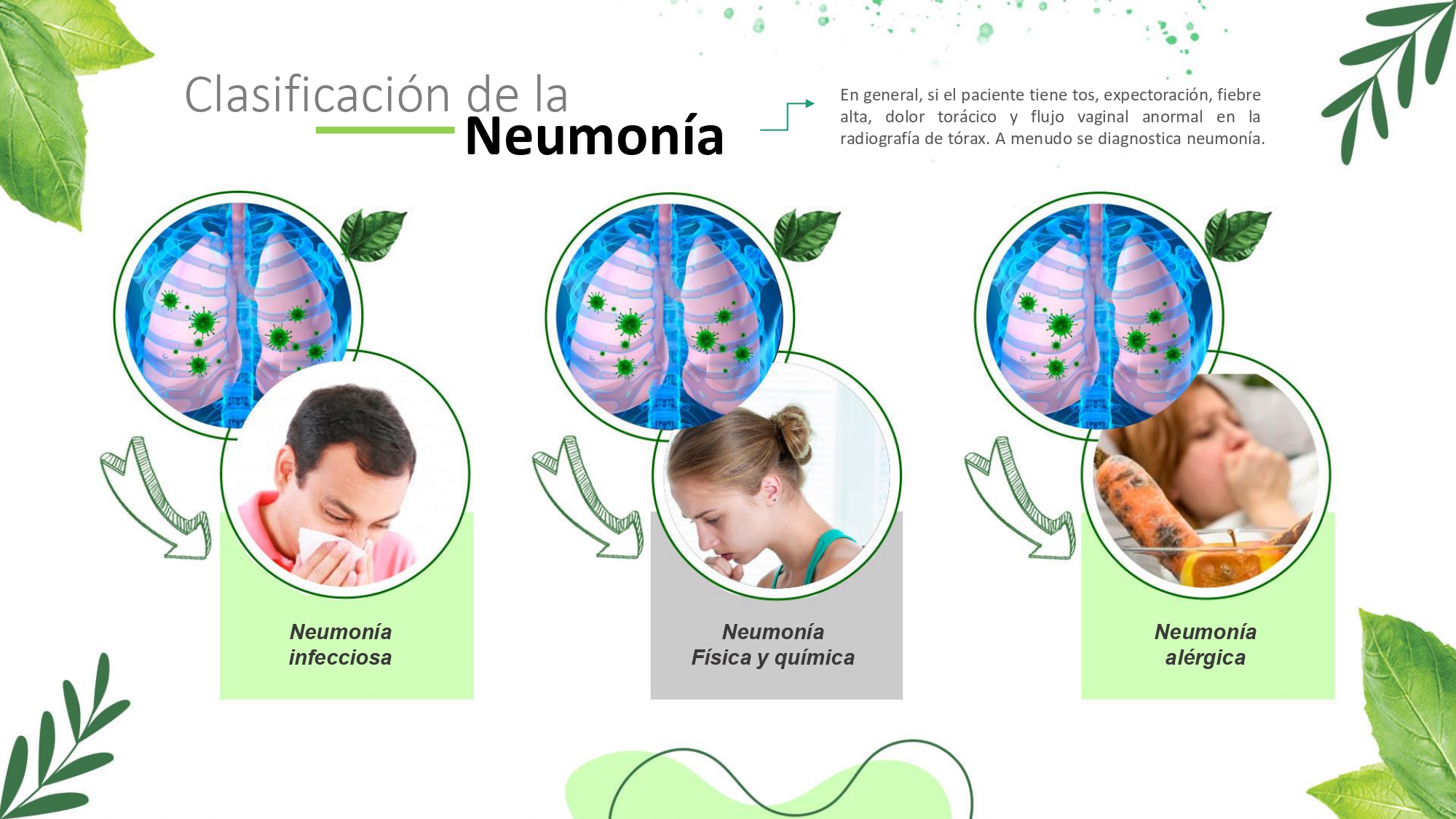 Cartera de nutrientes para pulmón - 3