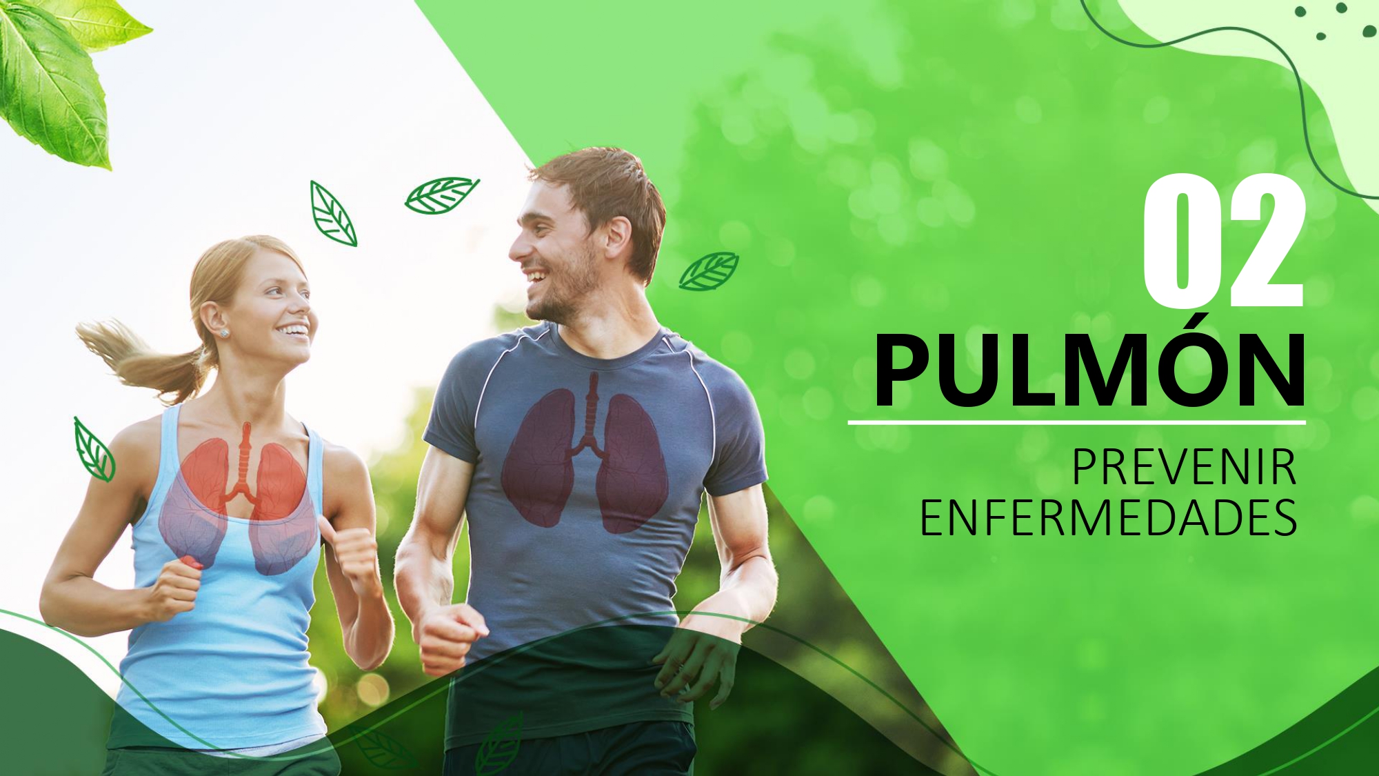 Cartera de nutrientes para pulmón - 1
