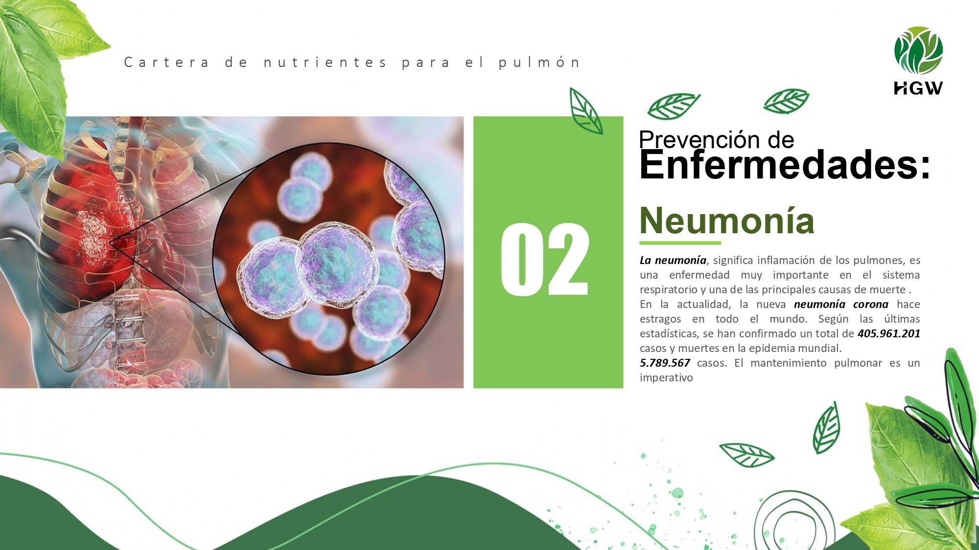 Cartera de nutrientes para pulmón - 2
